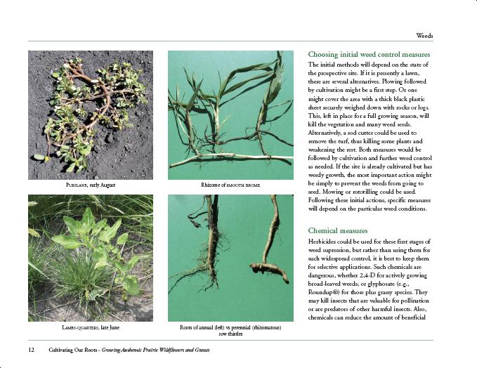 Sample page with images of common problem weeds